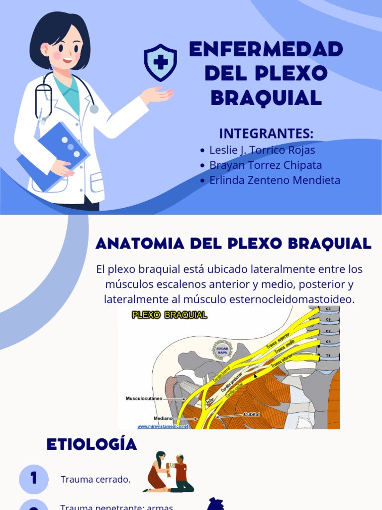 Enfermedad Del Plexo Braquial Pdf Mano Sistema Musculoesquelético