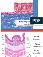 Histologiadelsistemarespiratoriocopia 150411182840 Conversion Gate01