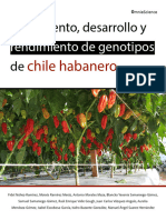 Chile Habanero: Rendimiento de Genotipos