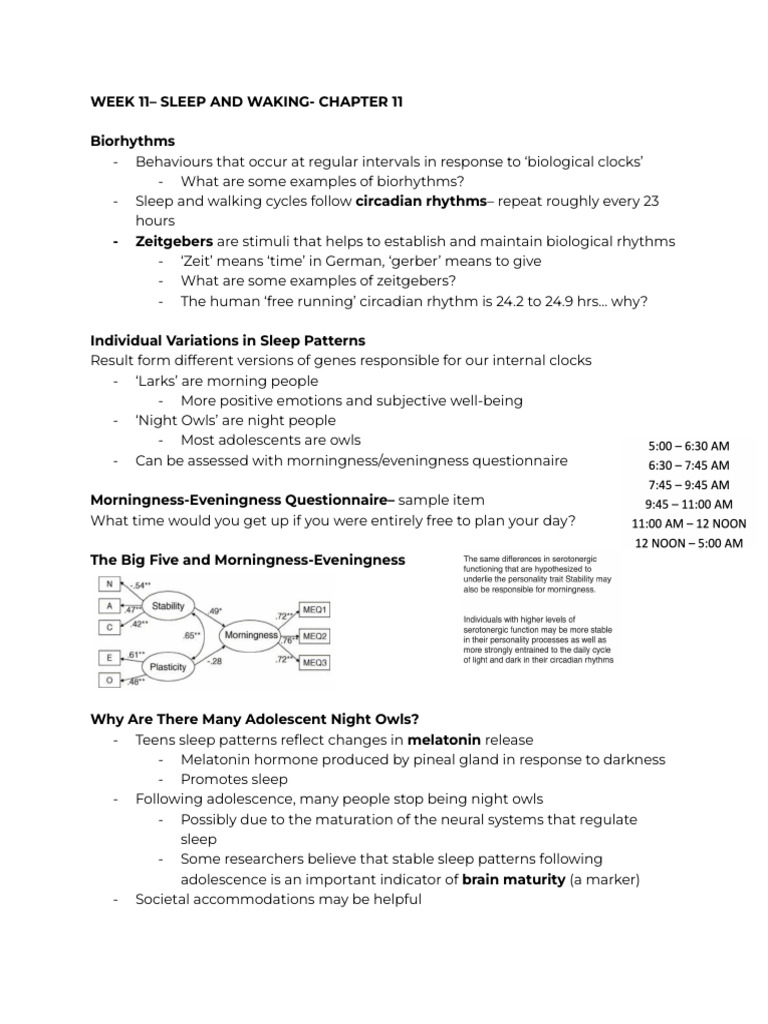 Circadian Rhythms and Sleep Patterns | PDF | Sleep | Circadian Rhythm