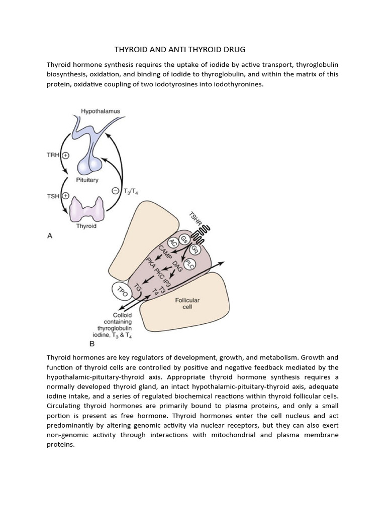 THYROID AND ANTI THYROID DRUG | PDF | Hormone | Biochemistry
