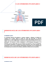 Morfologia Sindromes Pulmonares I