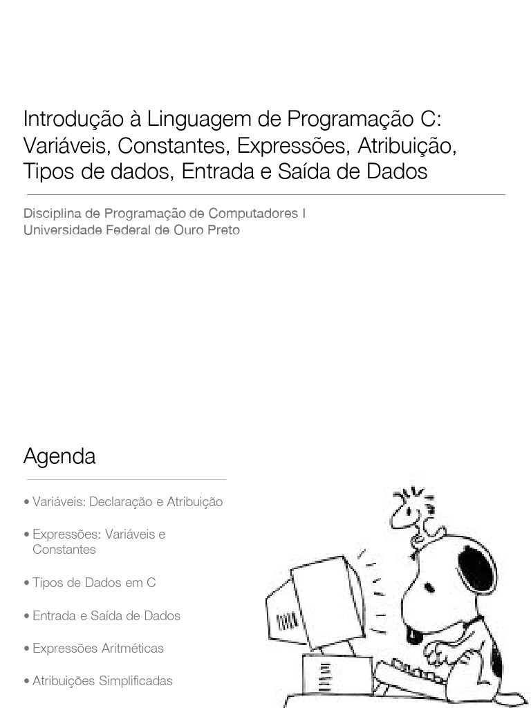 Introdução à Programação em C: Variáveis e Tipos | PDF | Tipo de dados ...