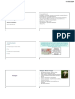 Microbiologia: Fungos