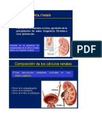 Fisiopatologia renal 2