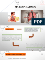 Sistema Respiratorio