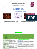 Bacterias Patogenia