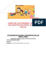 ACTIVIDADES DE ACOGIDA Y DIAGNOSTICO DE LOS NIÑOS Y NIÑAS