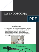 Diapositivas de La Endos