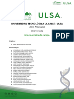 Informe Colaborativo de Visita de Campo - Isa