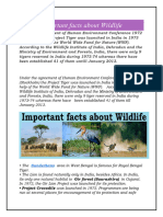 Facts On Wildlife