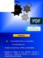 Calidad y Seguridad en Enfermeria