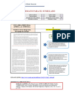 s03 Formato para Sumillado - Subtemas 2