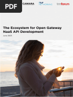 The Ecosystem For Open Gateway NaaS API Development