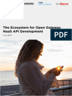 The Ecosystem For Open Gateway NaaS API Development