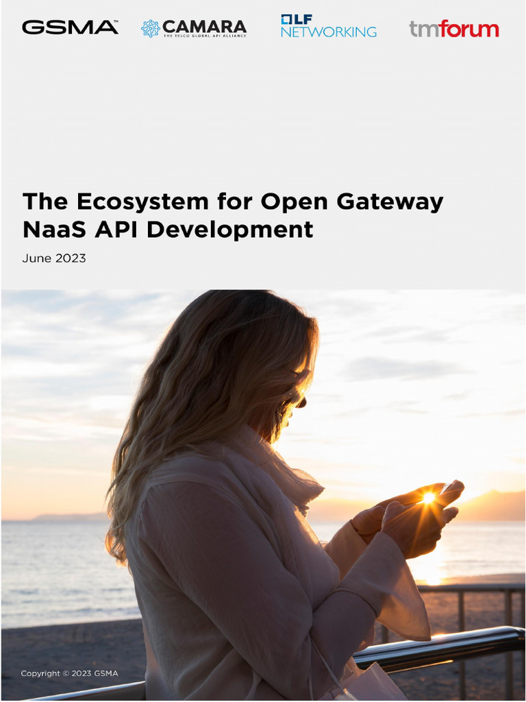 The Ecosystem For Open Gateway Naas Api Development Download Free Pdf