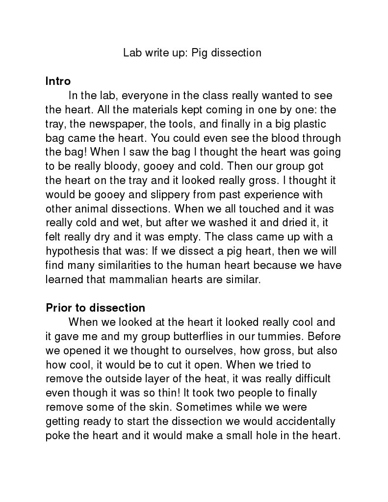 Pig Heart Dissection Lab Report | PDF | Heart Valve | Angiology