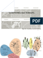 1taxonomía Bacteriana