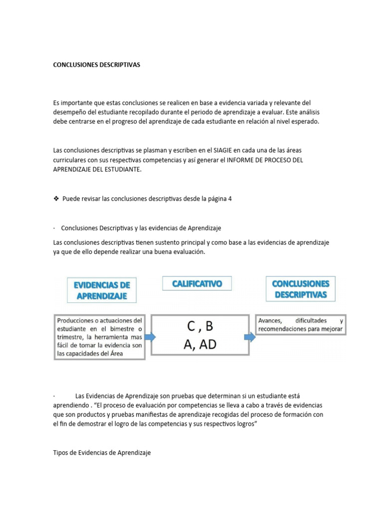 Conclusiones Descriptivas por Área Escolar | PDF | Evaluación | Aprendizaje