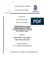 Molecular Proyecto