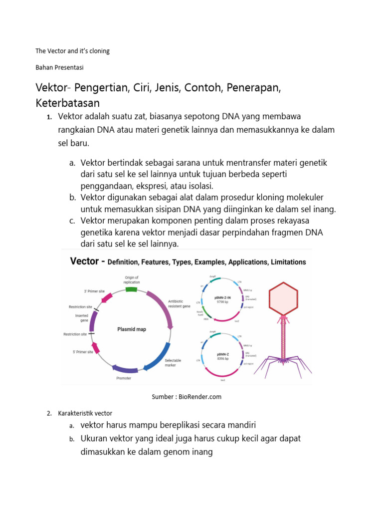 Panduan Lengkap Vektor Kloning DNA | PDF | Sains & Matematika