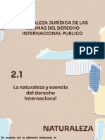 Derecho Internacional t2