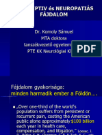 Nociceptiv Es Neuropatias Fajdalom