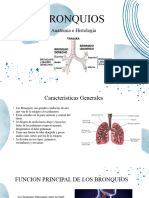 Aparato Respiratorio Histología 1