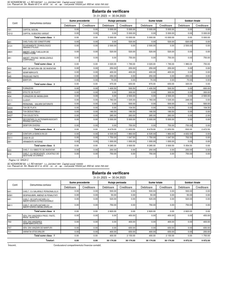 Balanta - de - Verificare - ATESTAT | PDF