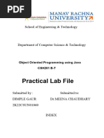 Java Lab File