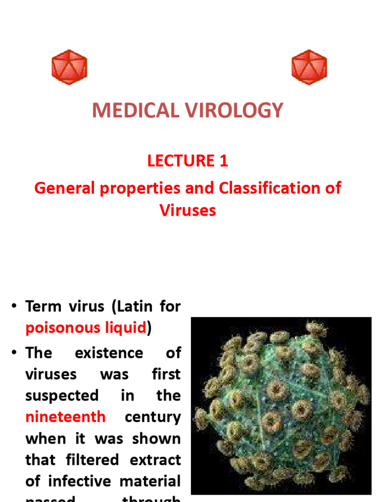 Virus Classification and Structure Overview | PDF | Virus | Infection
