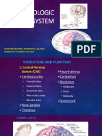 Neuro Assessment