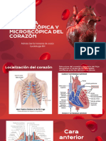 Anatomía Macroscópica y Microscópica Del Corazón - Aldrete García Vanessa