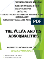 The Vulva & Its Abnormalities