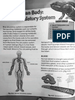 Circulatory System