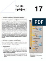 L2. Metabolismo de Lípidos Complejos