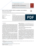 Kuwata H 2019 - Role of ACSL4 in Arachidonic Acid Metabolism