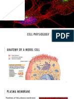 3 Cell Physiology Transport Across The Membranes F21 MOODLE