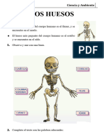 Los Huesos para Primer Grado de Primaria