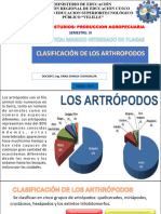 Los Arthropoda Sesion 02