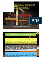 7. HUKUM PIDANA