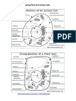 Plant Animal Cell Diagrams