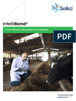 Westside - IntelliBond Detailer TM Absorption in Ruminants 2