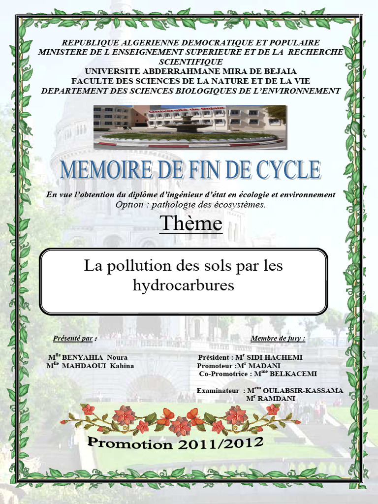 Pollution des sols par hydrocarbures | PDF | Alcane | la pollution
