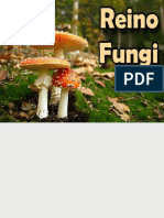 Fungos - Características Gerais
