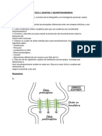 Práctico 3 - Sinapsis y Neurotransmision Uces
