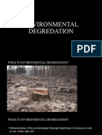 Environmental Degredation