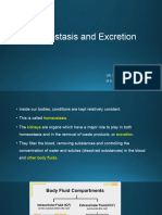 8. Homeostasis and Excretion