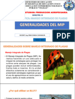 Generalidades de MIP SESION 01