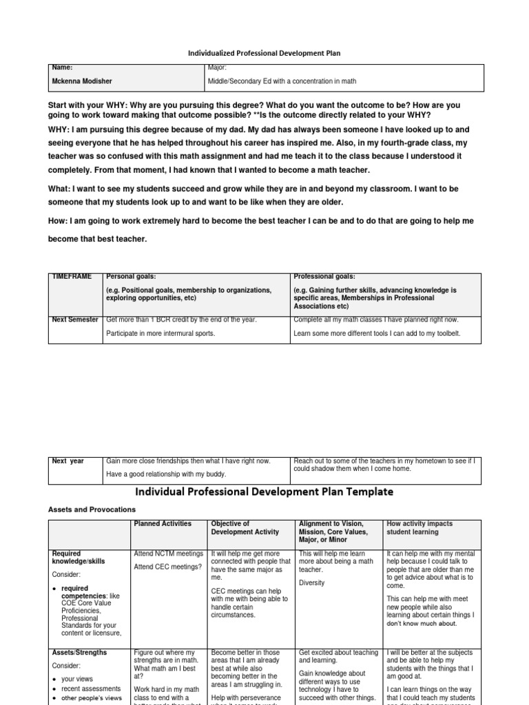Professional development plan pdf teachers national council of